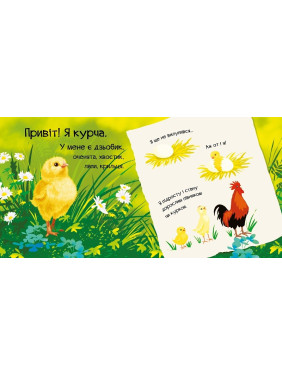 Знакомься, я цыпленок