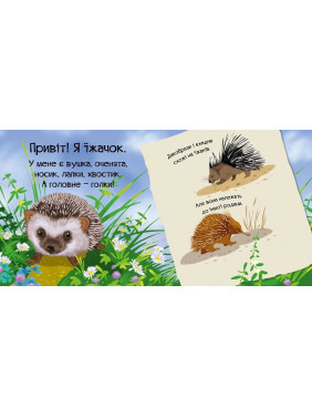 Знакомься, я ежик