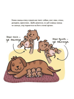 Це — пеніс! Анна Сальвія, Крістіна Торрон