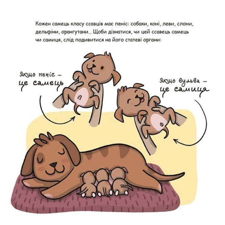 Це — пеніс! Анна Сальвія, Крістіна Торрон