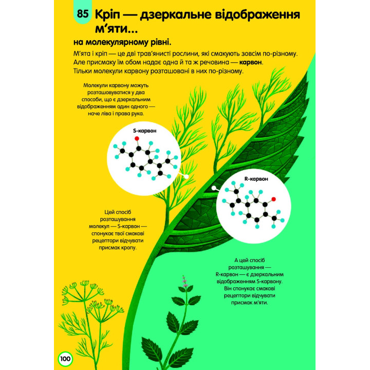 100 фактів про їжу. Сем Бер, Рейчел Фірт, Роуз Голл, Еліс Джеймс, Джером Мартін