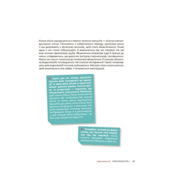 Сексуальність. Інтимне здоров’я і здорові стосунки. 16+. Ізабель Фільоза, Марґо Фрід-Фільоза