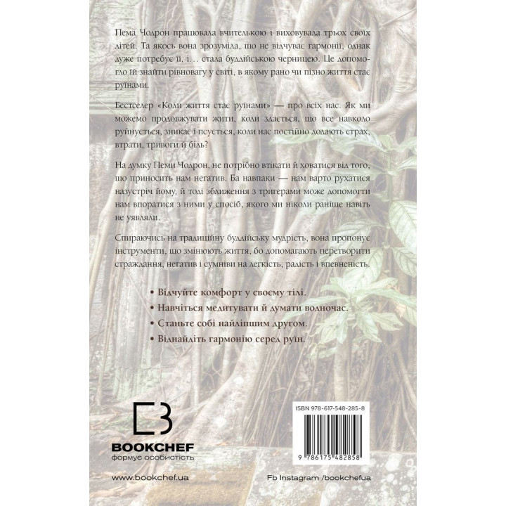 Коли життя стає руїнами. Дієві поради для важких часів. Пема Чодрон