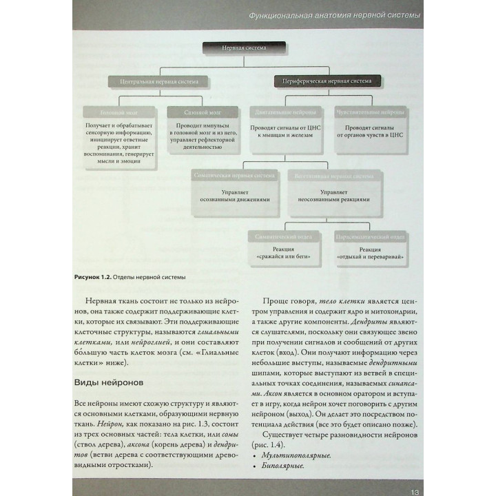 Увлекательно о нервах. Практическое пособие для физиотерапевтов. Джон Гиббонс