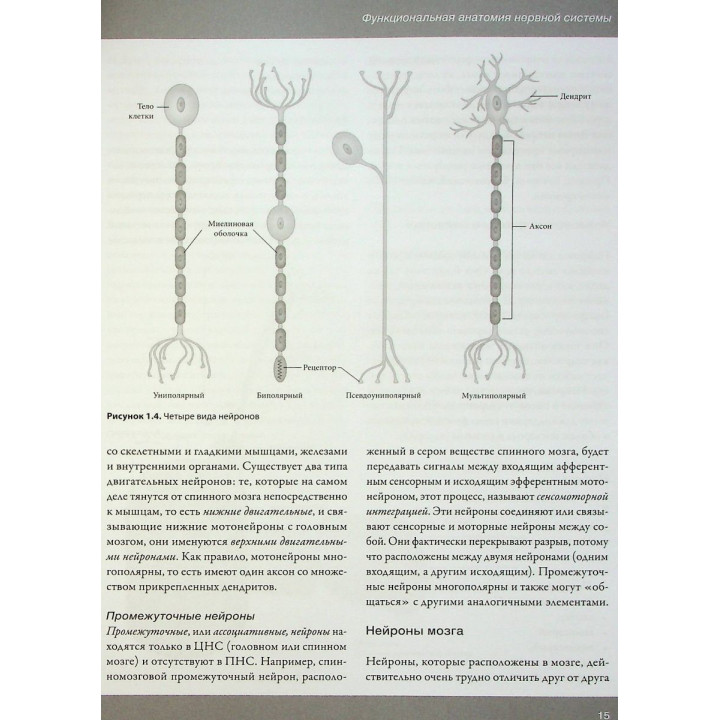 Увлекательно о нервах. Практическое пособие для физиотерапевтов. Джон Гиббонс