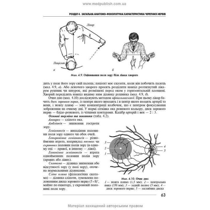 Неврологія: підручник. Ірина А. Григорова, Лариса І. Соколова, Роман Д. Герасимчук