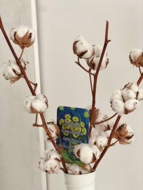 Метафоричні карти «Чарівні психологічні практики на кожен день»