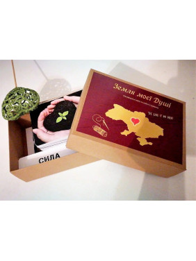 Метафоричні карти «Земля моєї душі». Ірина Саченко