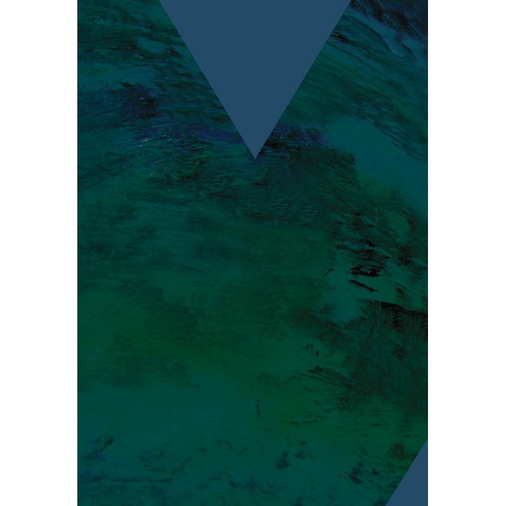 Терапия нарушений привязанности: Вот теории к практике. Карл Гайнц Бриш