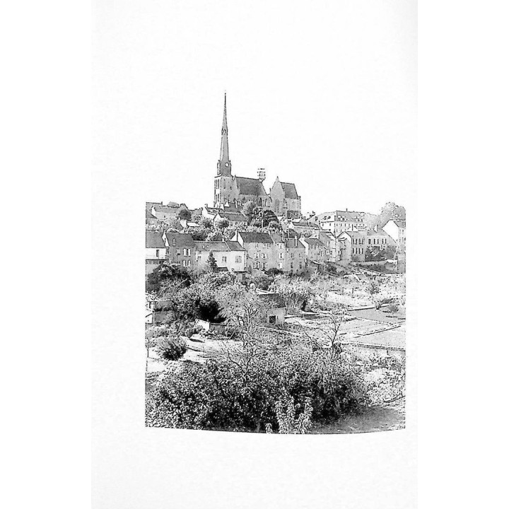 Возрожденные роды. Мишель Оден