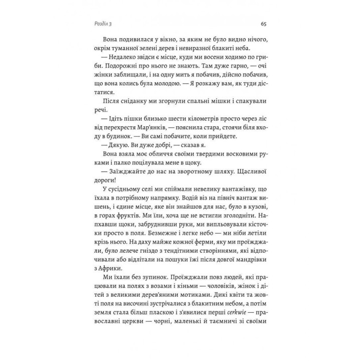 Сквозь темноту плыву. Томаш Ендровский