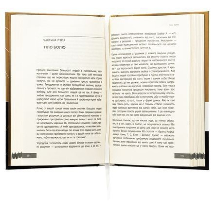 Новая земля. Осознание жизненных целей. Экгарт Толле