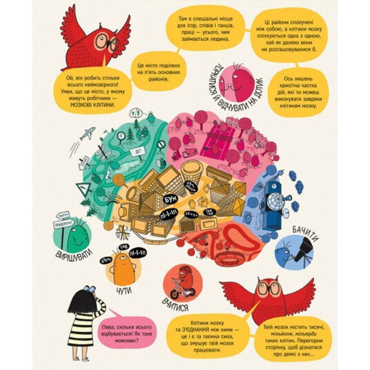 Книга о мозге и о том, как он работает. Бетина Ип