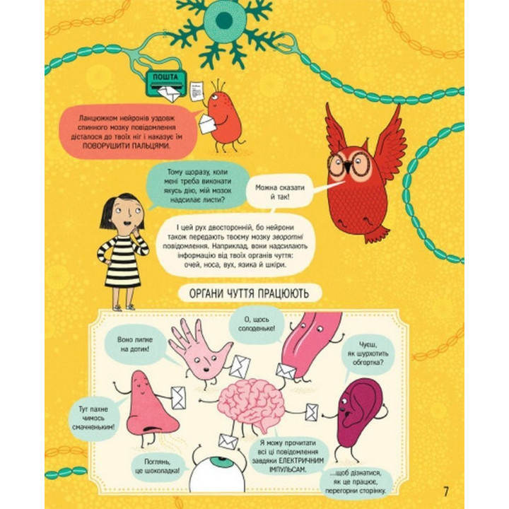 Книга о мозге и о том, как он работает. Бетина Ип