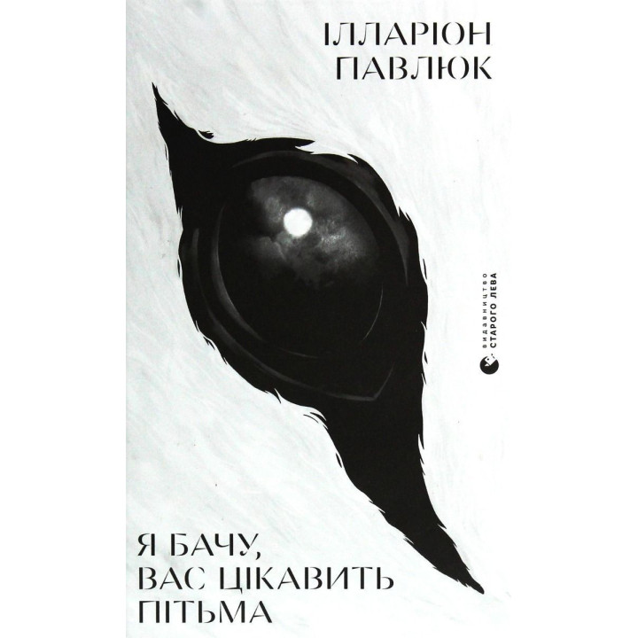 Я вижу, вас интересует тьма. Илларион Павлюк