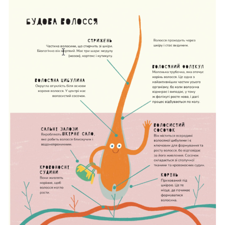Книжка про волосся. Маріона Толоса Сістере