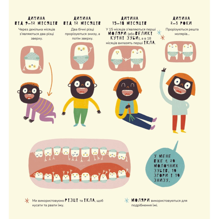 Книжка про зуби. Маріона Толоса Сістере